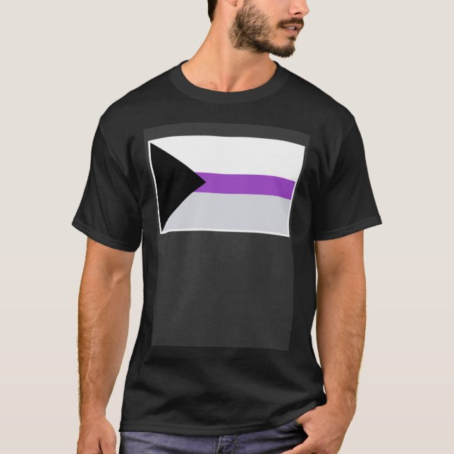 Demisexual Flag Demisexual Pride Flag T-Shirt (Front)