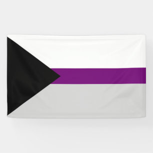 Demisexual Flag sexuality symbol gender identity Banner
