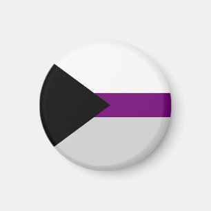 Demisexual Flag sexuality symbol gender identity Magnet