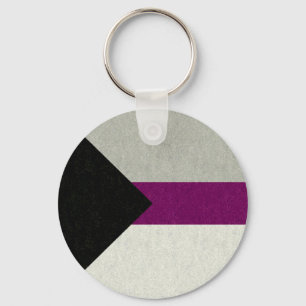 Demisexual Pride Flag Coloured Background Design Key Ring