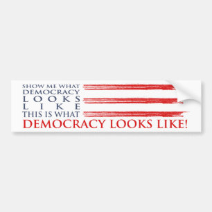 Democracy Bumper Sticker