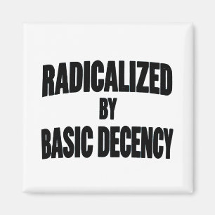 Democracy Social Radicalised By Basic Decency Magnet