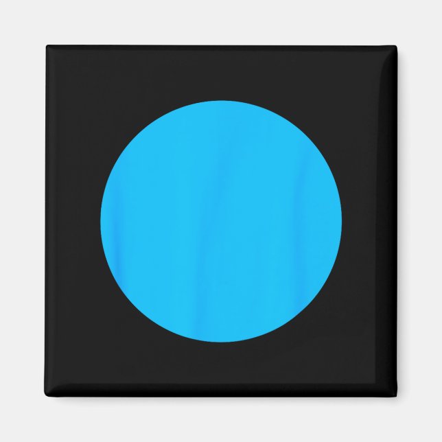 Democratic Blue Dot For Nebraska Or Main Districts Magnet (Front)