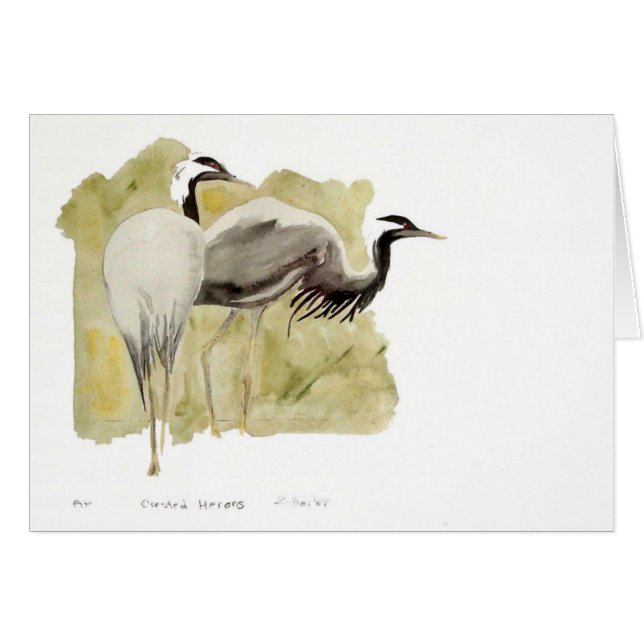 Demoiselle Cranes (Front Horizontal)