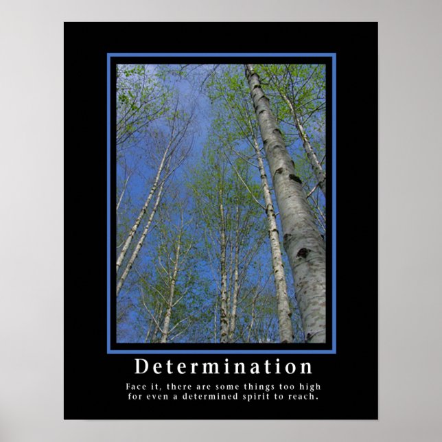 Demotivational Posters ... Determination (Front)