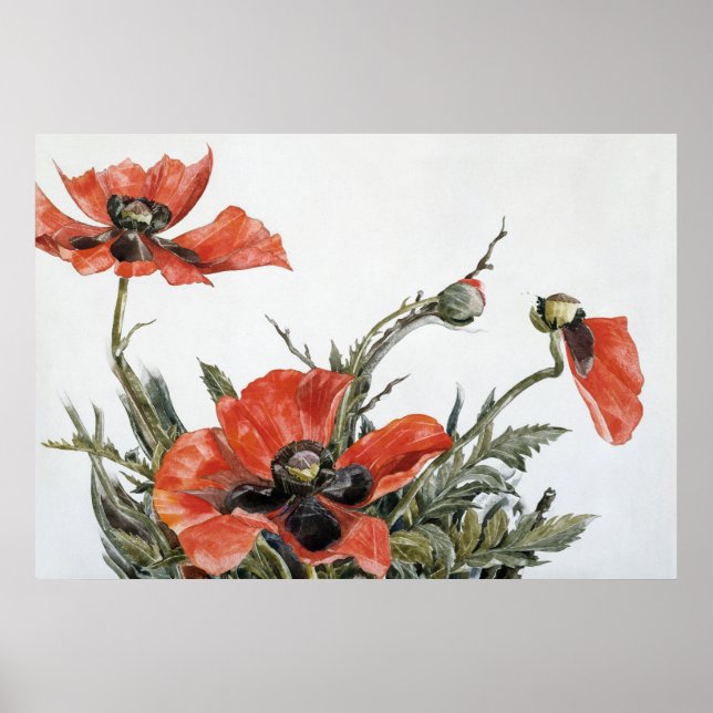 Demuth's Red Poppies Poster (Front)