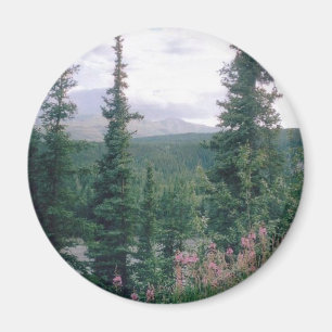 Denali -Alaska Magnet