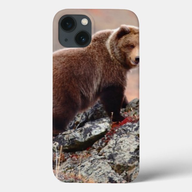 Denali Brown Bear Case-Mate iPhone Case (Back)