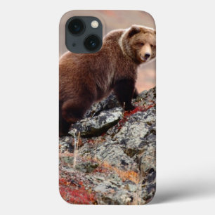 Denali Brown Bear iPhone 13 Case
