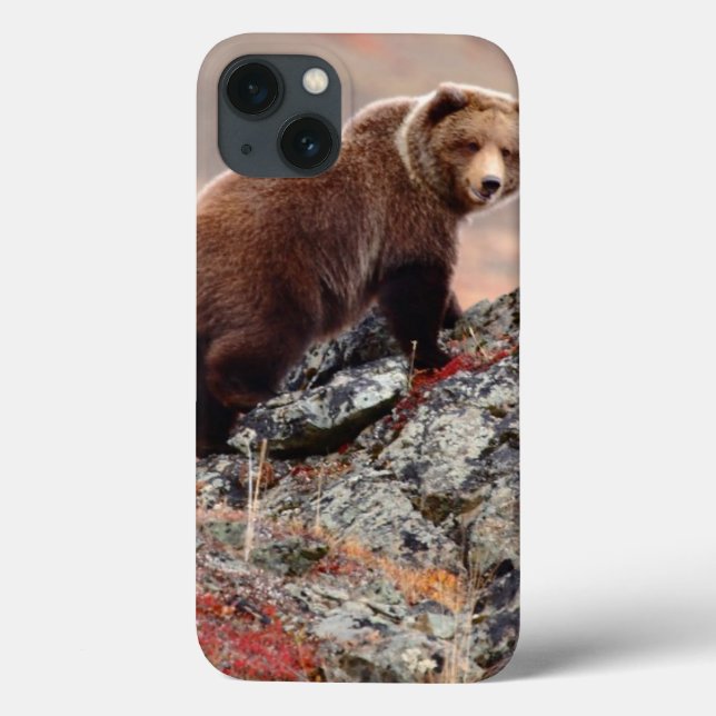 Denali Brown Bear Case-Mate iPhone Case (Back)