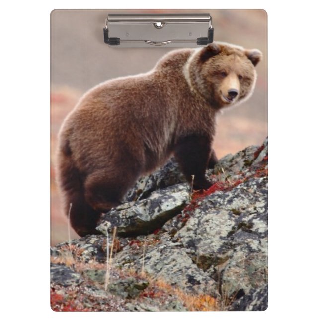 Denali Brown Bear Clipboard (Front)