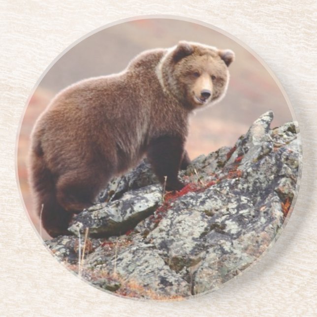 Denali Brown Bear Coaster (Front)
