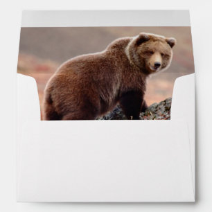 Denali Brown Bear Envelope