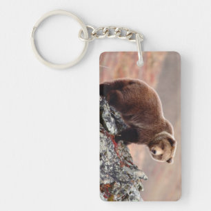 Denali Brown Bear Key Ring
