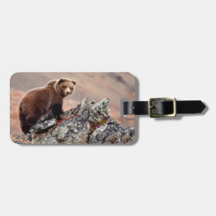 Denali Brown Bear Luggage Tag