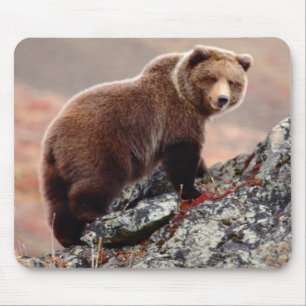 Denali Brown Bear Mouse Pad