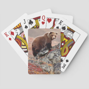 Denali Brown Bear Playing Cards