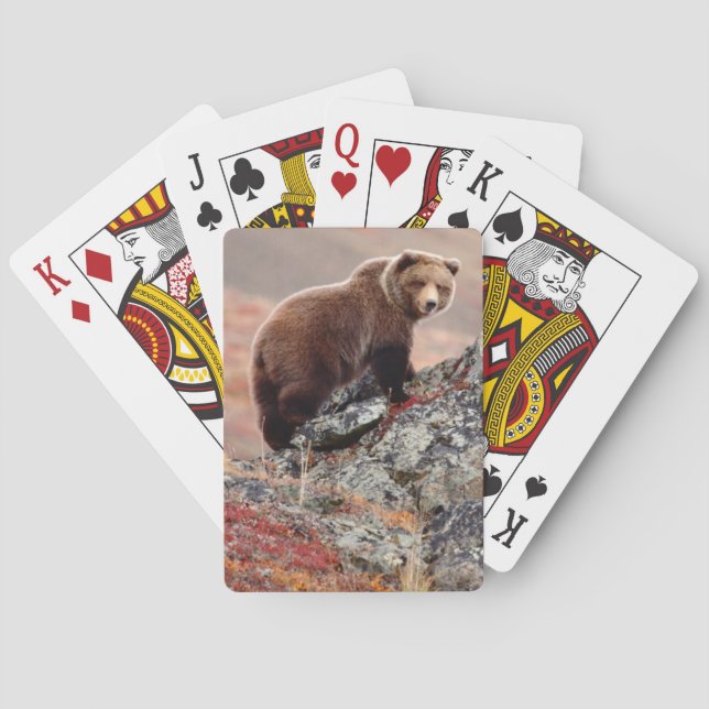 Denali Brown Bear Playing Cards (Back)