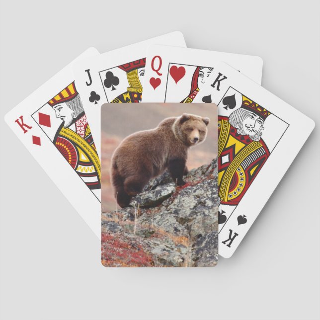 Denali Brown Bear Playing Cards (Back)