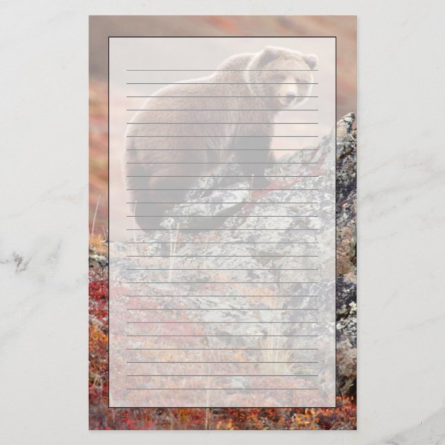 Denali Brown Bear Stationery (Front)