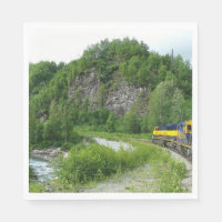 Denali Express Alaska Train Vacation Photography