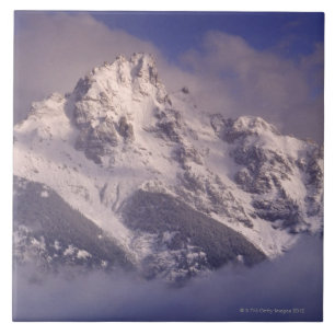 Denali mountain range, Alaska Tile