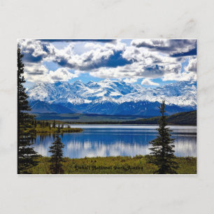 Denali National Park, Alaska Holiday Postcard