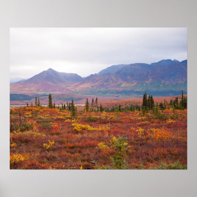Denali National Park, Alaska In Scenic Autumn Poster (Front)