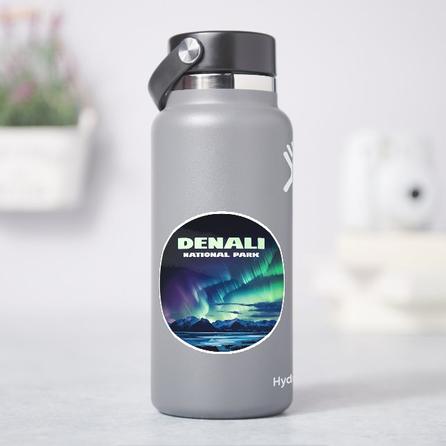 Denali National Park Alaska Northern Lights Retro (HydroFlask)