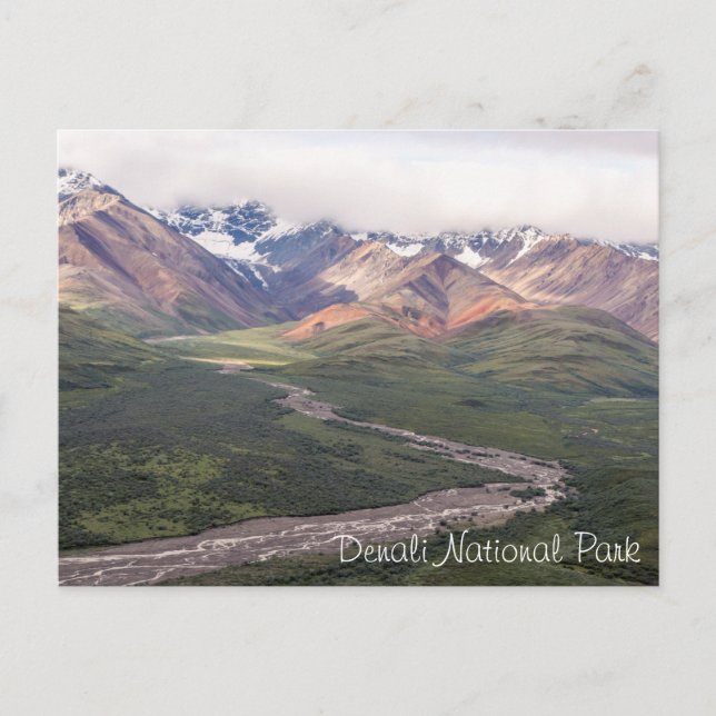 Denali National Park - Alaska | Postcard (Front)