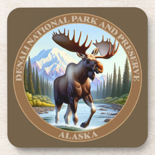 Denali National Park and Preserve Alaska Coaster
