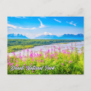 Denali National Park and Preserve, Alaska Postcard