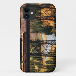 Denali National Park and Preserve USA Alaska iPhone 11 Case
