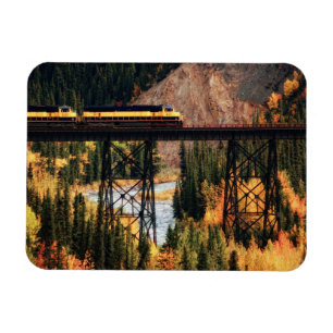 Denali National Park and Preserve USA Alaska Magnet