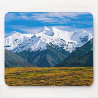 Denali National Park mousepad