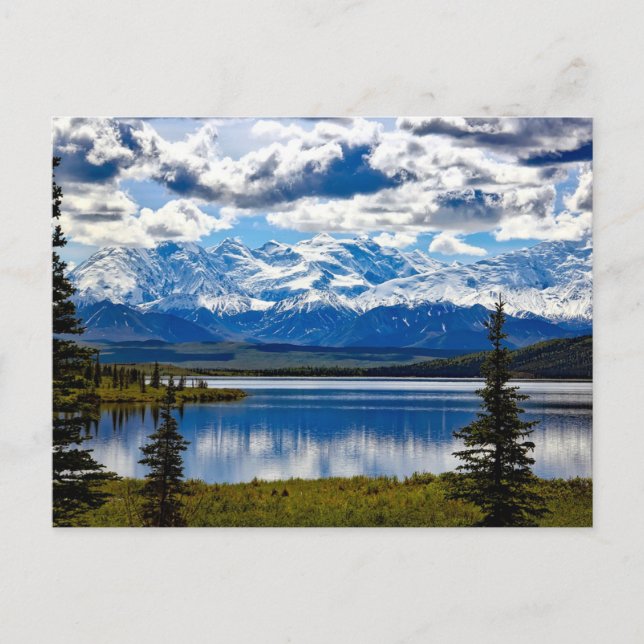 Denali National Park Postcard (Front)