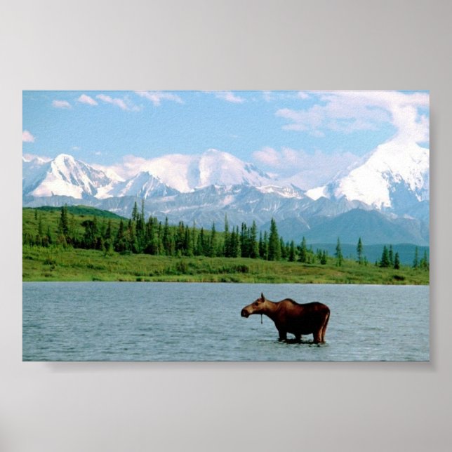 Denali National Park Poster (Front)
