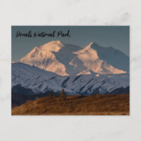 Denali National Park Sunrise