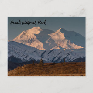 Denali National Park Sunrise Postcard