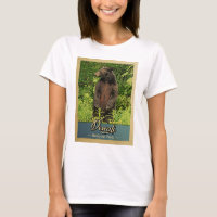 Denali National Park Vintage Bear
