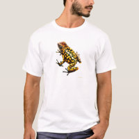 Dendrobates Imitator Dart Frog