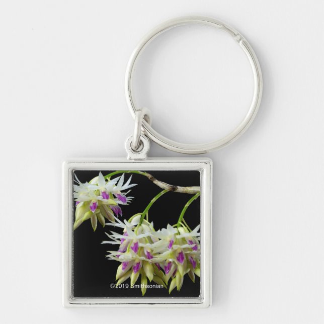 Dendrobium Amethystoglossum Key Ring (Front)