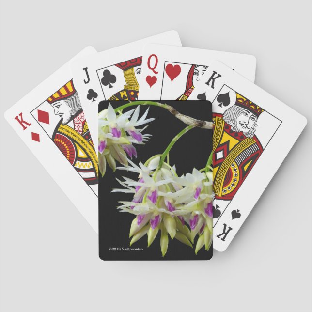 Dendrobium Amethystoglossum Playing Cards (Back)
