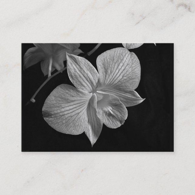 Dendrobium Orchid Blossom ATC Card (Front)