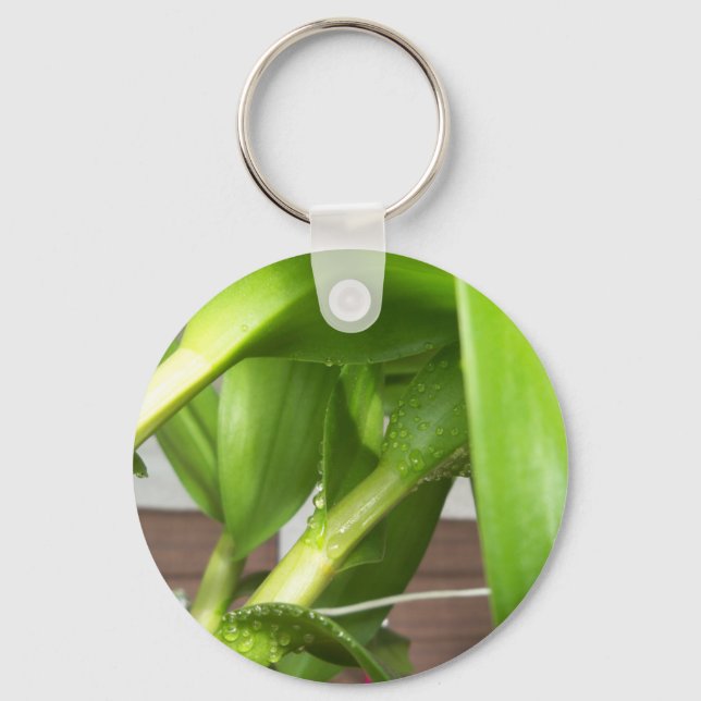 Dendrobium Orchid stems closeup Key Ring (Front)