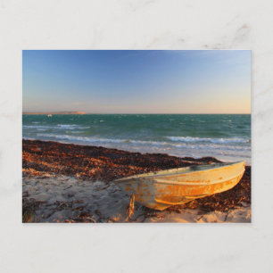 Denham - Western Australia Postcard