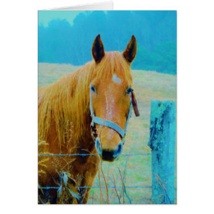 Denim blue tinted Horse