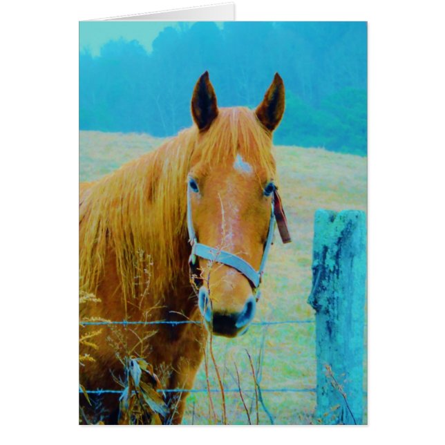 Denim blue tinted Horse (Front)