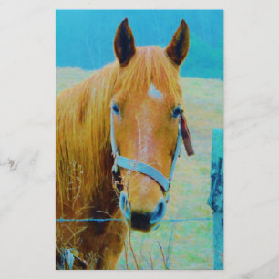 Denim blue tinted Horse Stationery