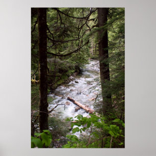 Denny Creek Print